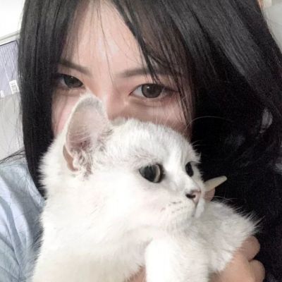 剑雨江山无限元宝版下载